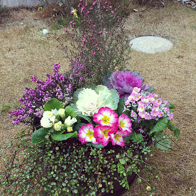 maimai0110さんの実例写真