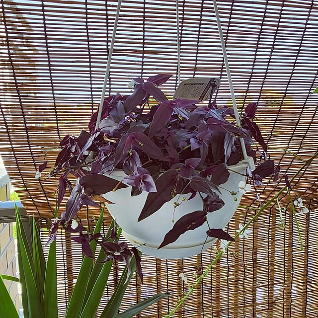 takoさんの実例写真