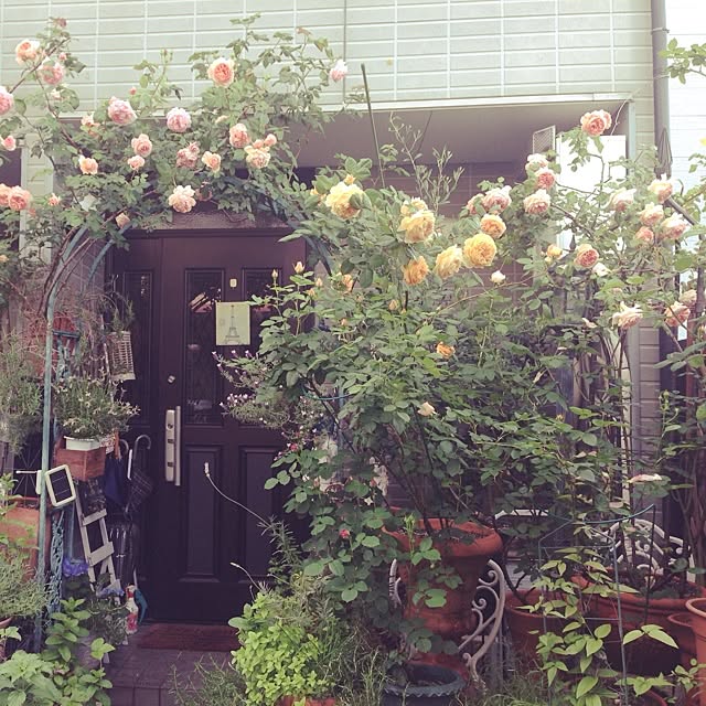 lavender_roseさんの実例写真