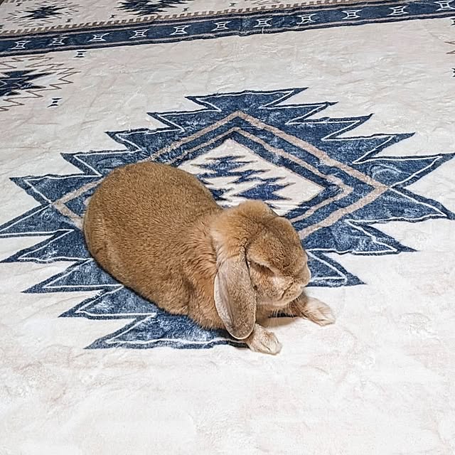 uiさんの部屋