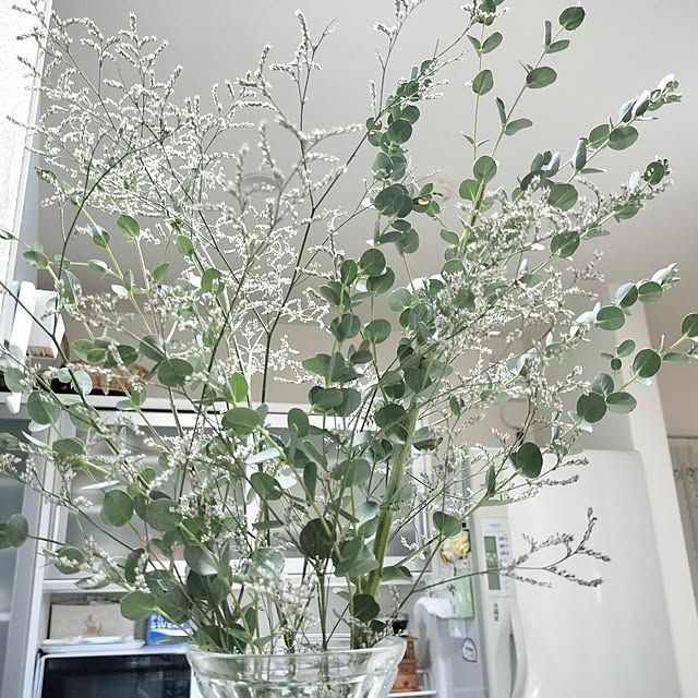 kumiさんの実例写真