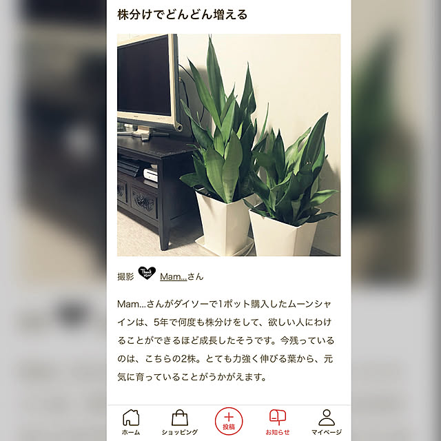 Mam...さんの実例写真
