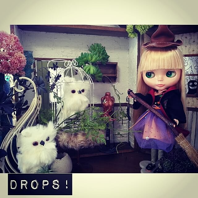 Suntrap811さんの実例写真