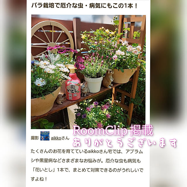 aikkoさんの実例写真