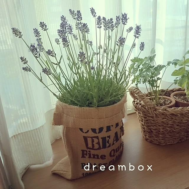 dreamboxさんの実例写真