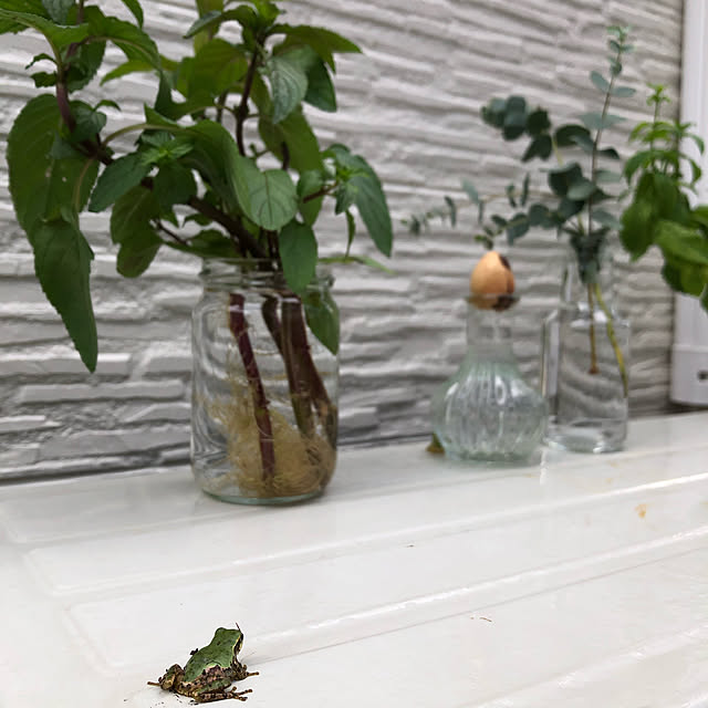 ayanyanさんの実例写真