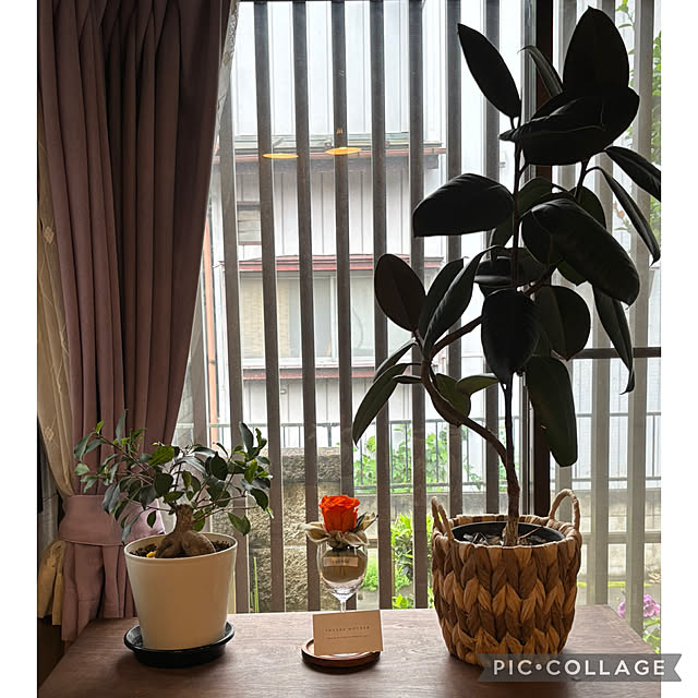 Smilkazuさんの部屋