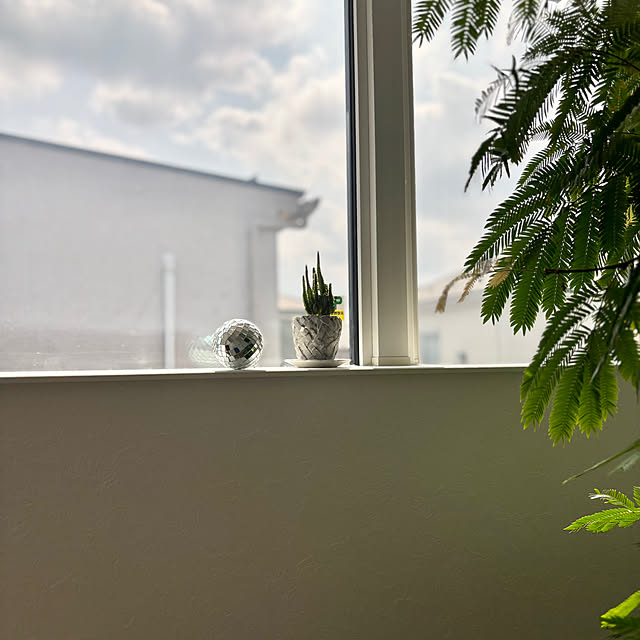 Minteaさんの部屋
