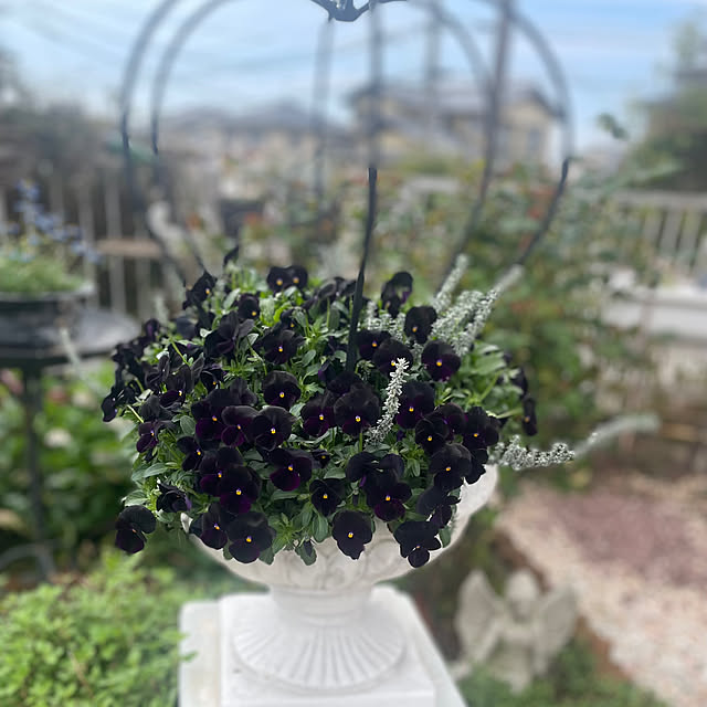 riceさんの実例写真