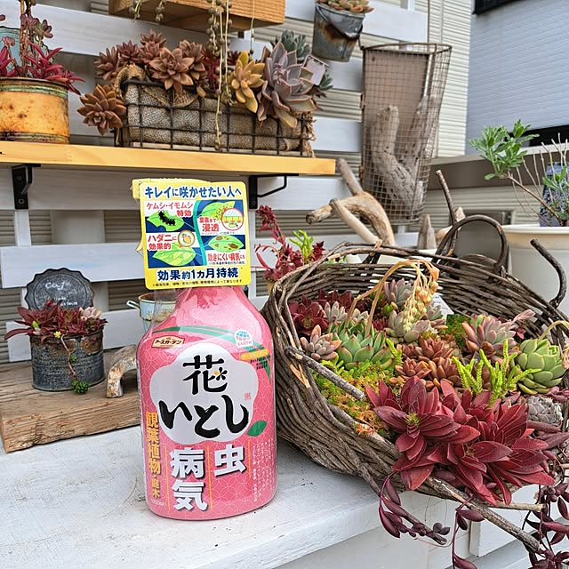 Jijiさんの実例写真