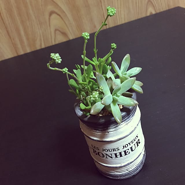 棚/観葉植物/多肉植物のインテリア実例 - 2015-03-13 00:05:02