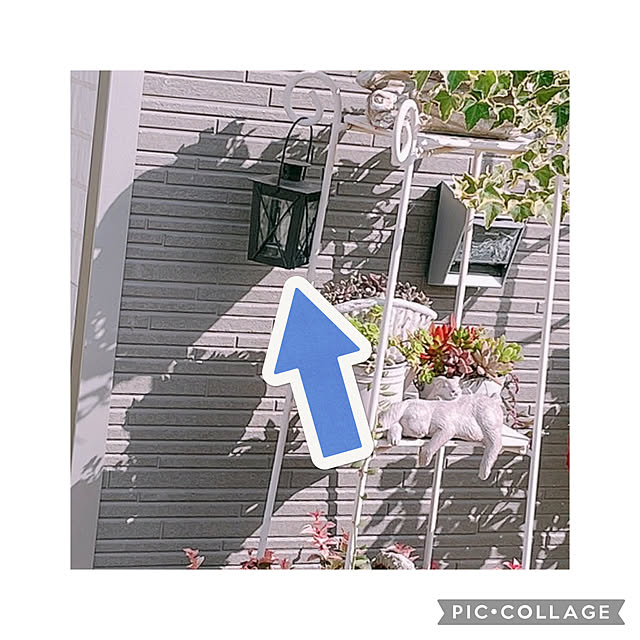 akiko-ovさんの実例写真