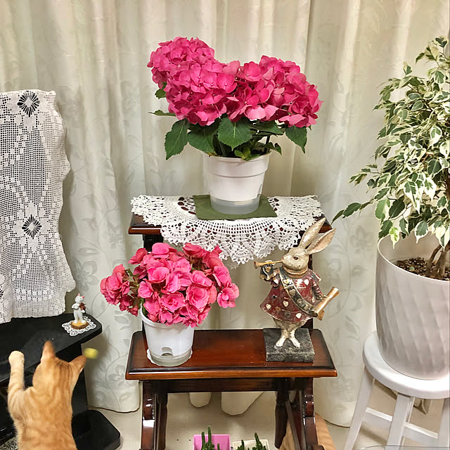 yuko25さんの実例写真
