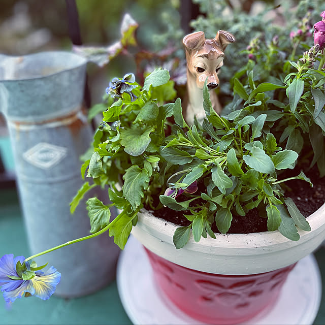 uninekoさんの実例写真