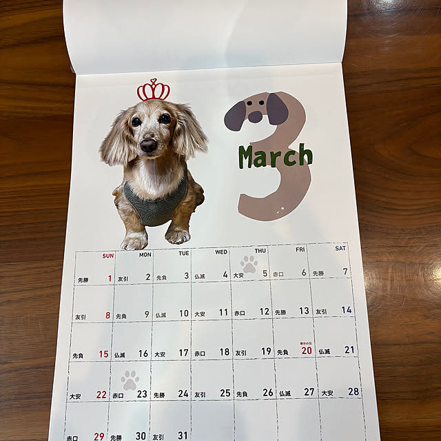 ponponcooさんの部屋