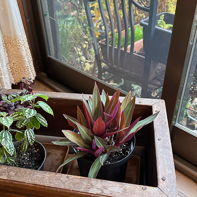 mamizaさんの部屋