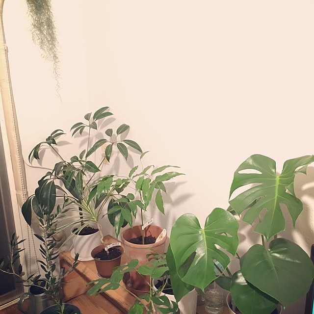 Ryo_Saekiさんの実例写真