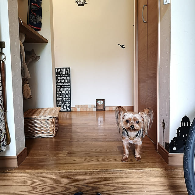 akiさんの実例写真