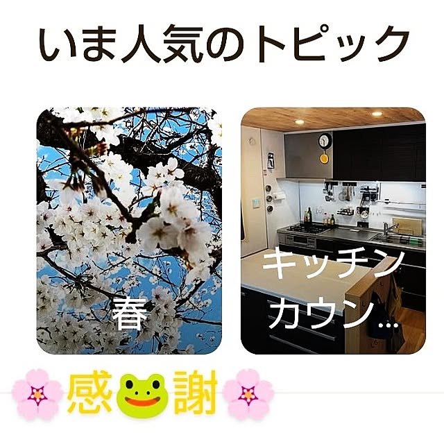 katさんの部屋