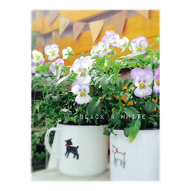manatomoさんの実例写真