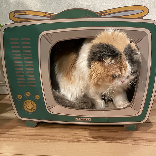 Kaorinさんの実例写真