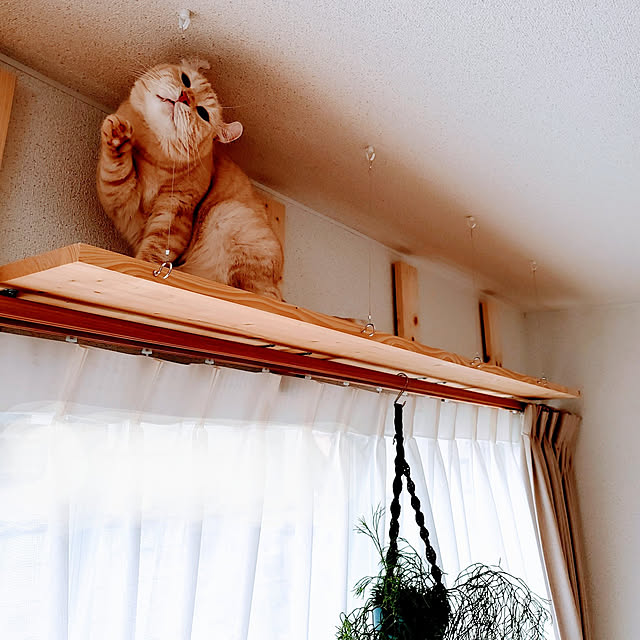makoさんの実例写真