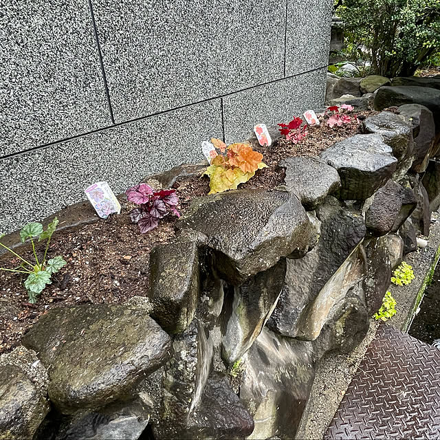 buchiさんの実例写真