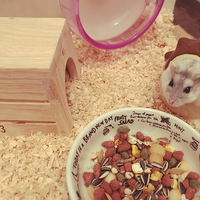 Satokoさんの実例写真