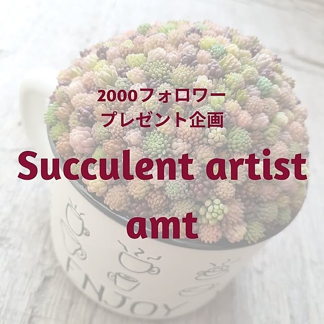 amtさんの実例写真