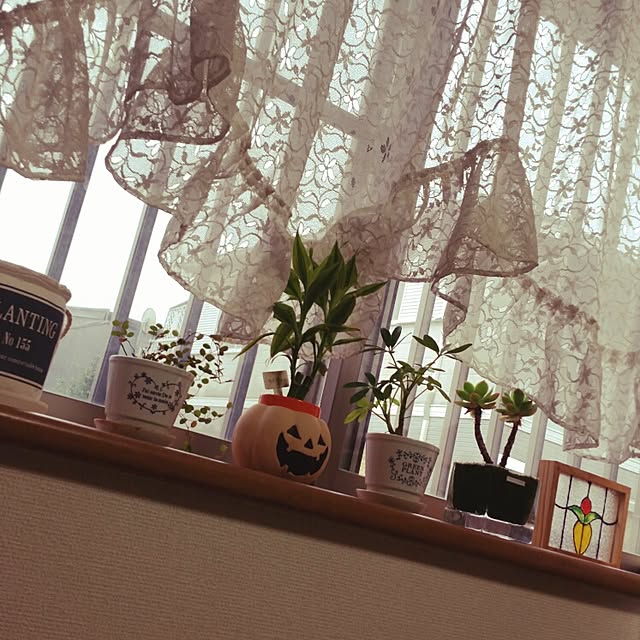 nontamaさんの実例写真
