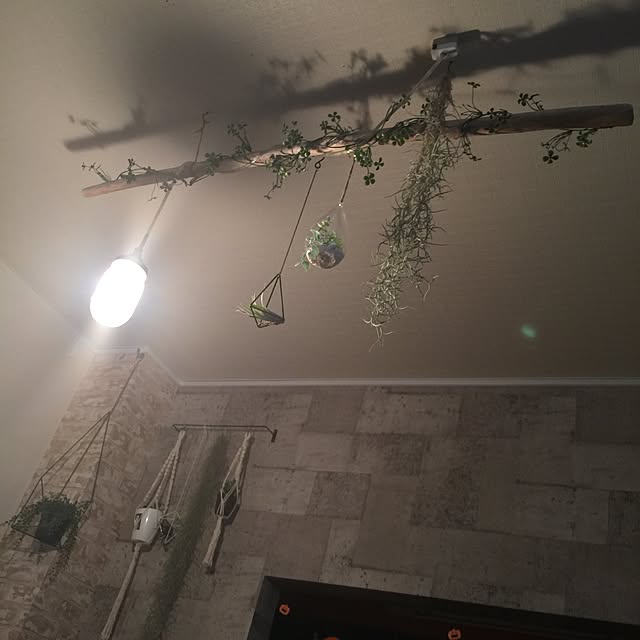happyhippieさんの実例写真