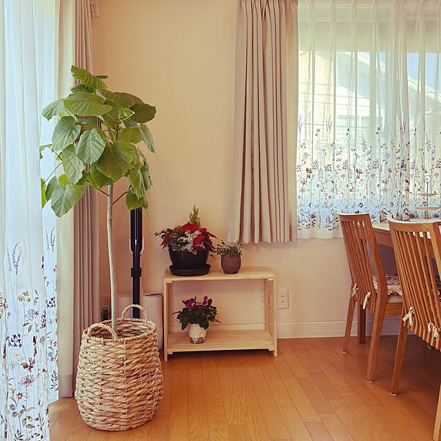 masamasaさんの実例写真