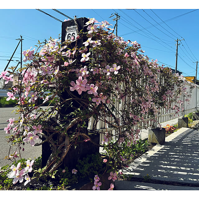 usagiさんの部屋