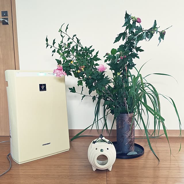 annaさんの実例写真