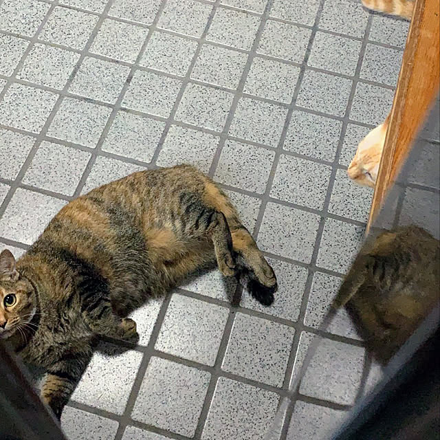 mohhaさんの実例写真