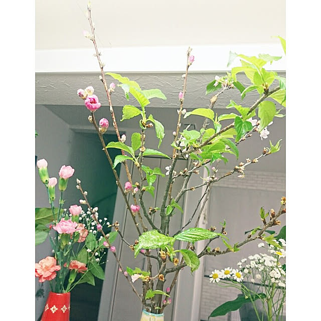 tata-kukuさんの実例写真
