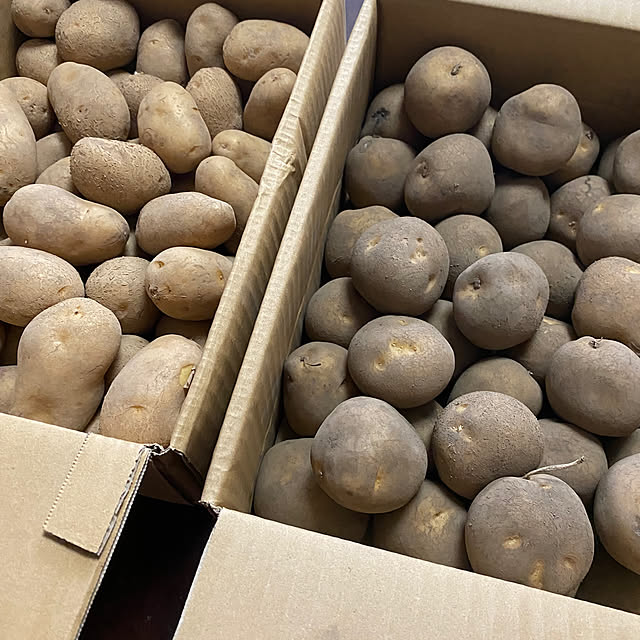 ChiCoさんの部屋