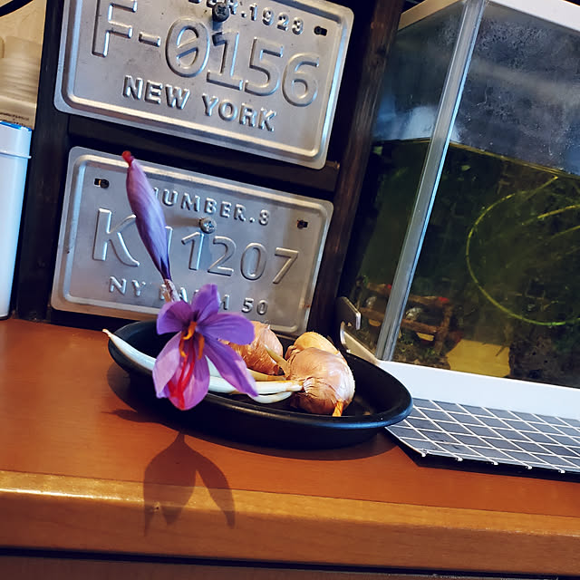 berry.さんの実例写真