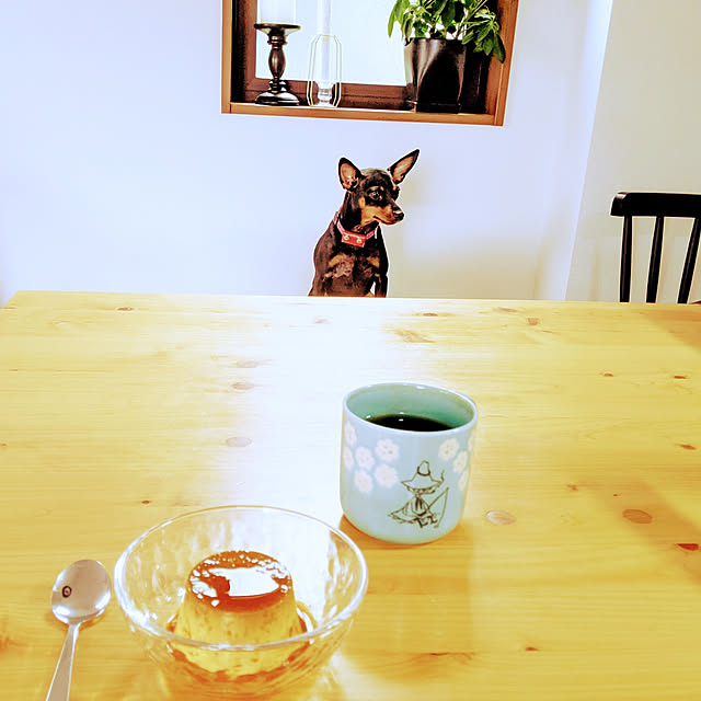 shizuponさんの実例写真