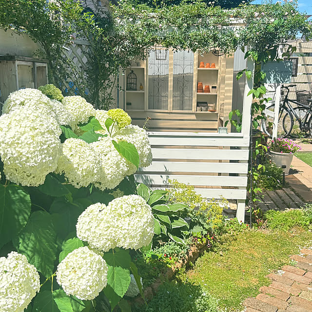 kotoriさんの部屋