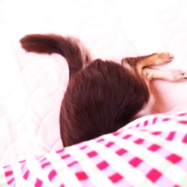 takaさんの実例写真