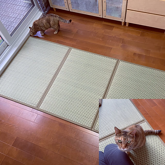 hansho.sさんの実例写真