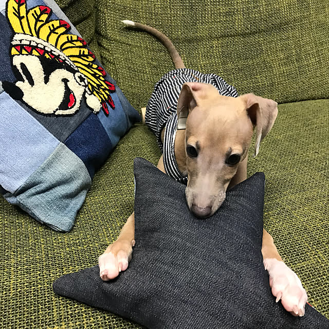 koさんの実例写真