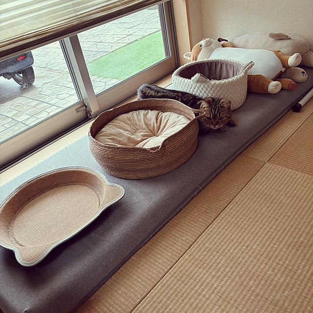 chiiさんのお部屋の写真