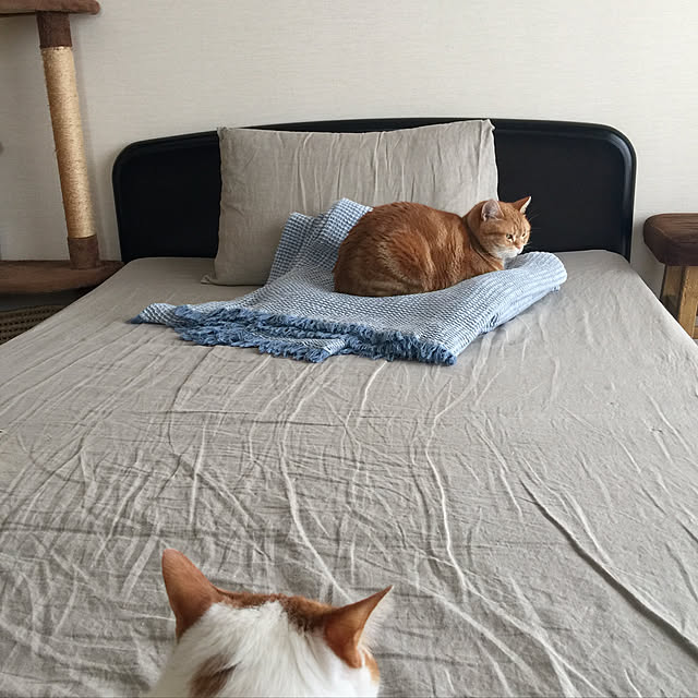 k.mさんの実例写真