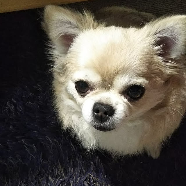 kiraさんの実例写真