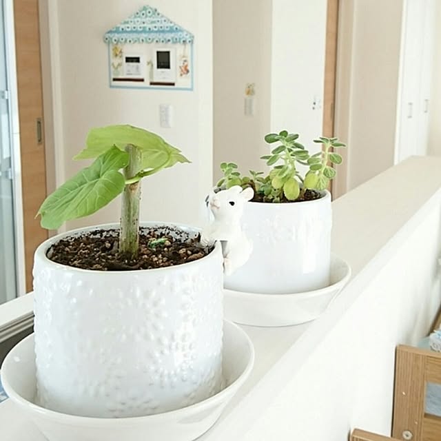 PAOさんの部屋