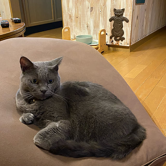 coronさんの実例写真