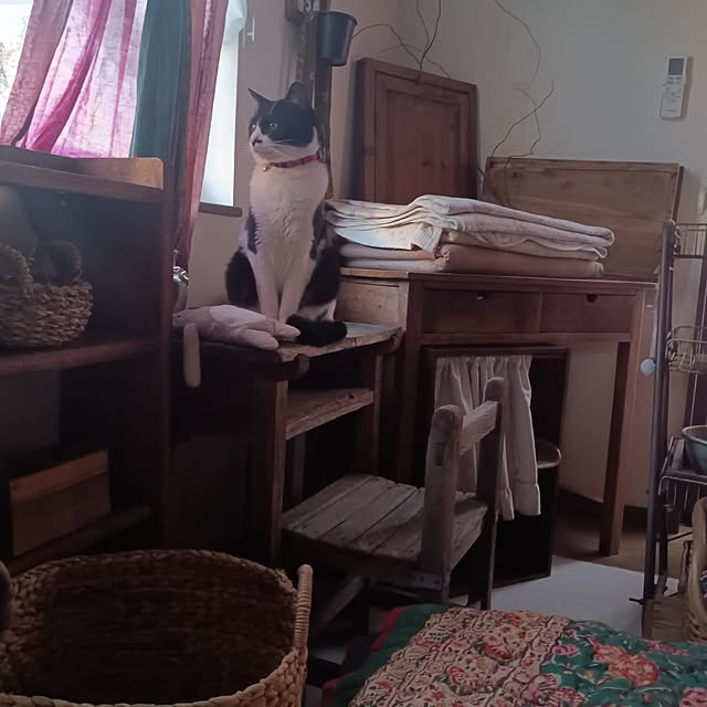 amoさんの実例写真