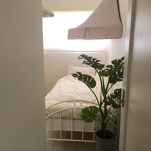 Mopmamaさんの実例写真